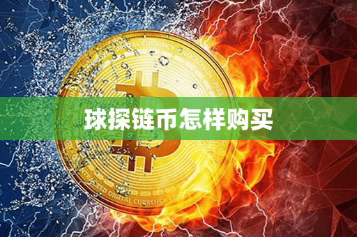 球探链币怎样购买