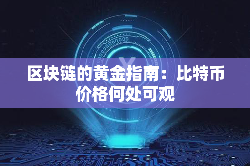 区块链的黄金指南：比特币价格何处可观