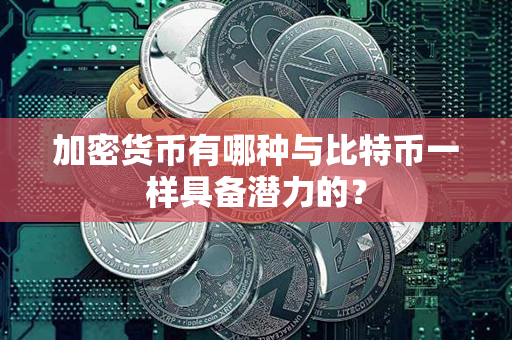 加密货币有哪种与比特币一样具备潜力的？