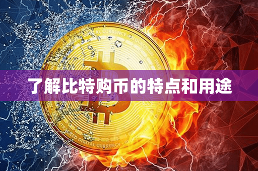 了解比特购币的特点和用途