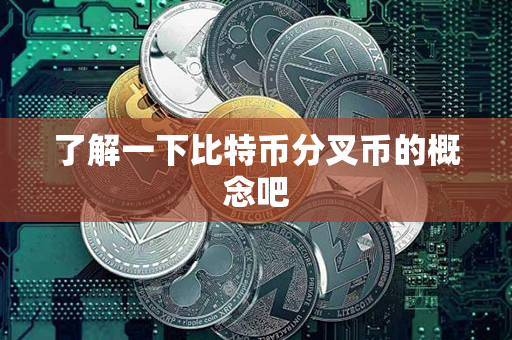 了解一下比特币分叉币的概念吧