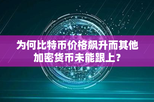 为何比特币价格飙升而其他加密货币未能跟上？