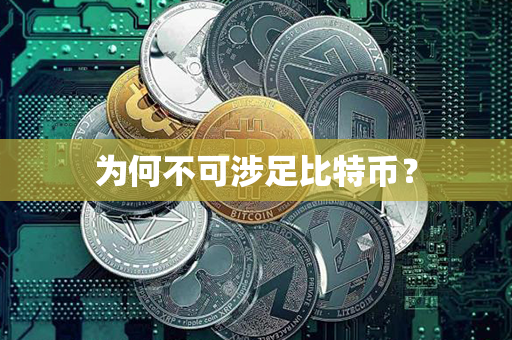 为何不可涉足比特币？