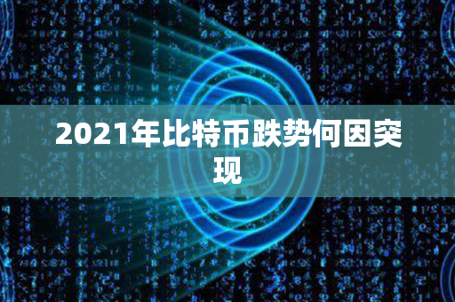 2021年比特币跌势何因突现